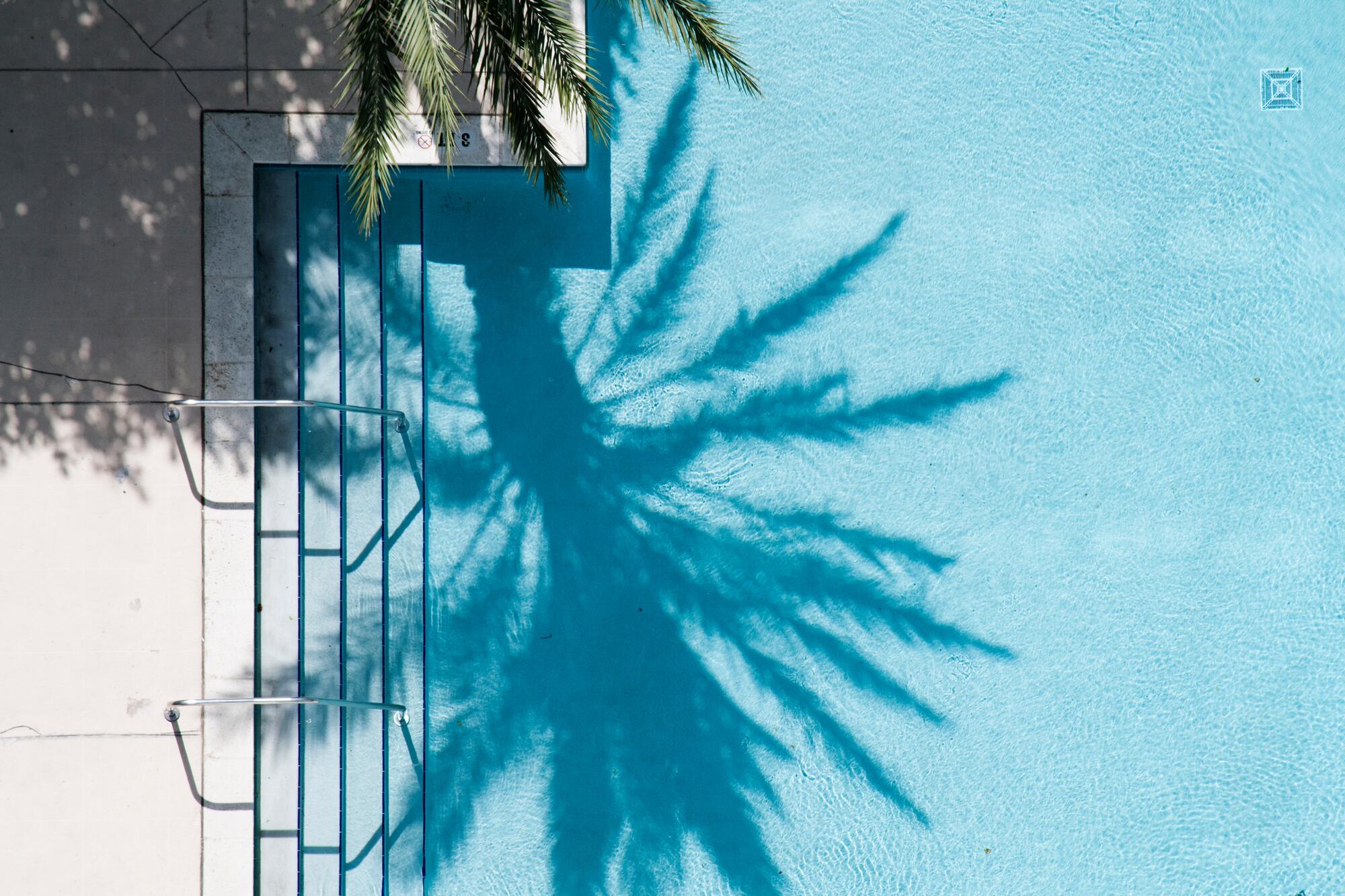 Palm Tree Shadow Over Pool